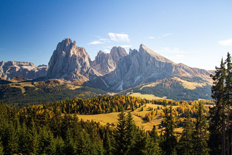 beautiful-shot-grassy-hills-covered-trees-near-mountains-dolomites-italy